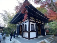 thumbnail_IMG_1429.webp