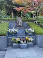 thumbnail_IMG_1438.webp