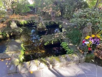 thumbnail_IMG_1443.webp