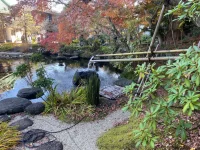 thumbnail_IMG_1444.webp