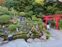 thumbnail_IMG_1447.webp