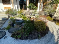 thumbnail_IMG_1452.webp