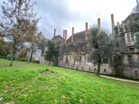 thumbnail_IMG_9814.webp