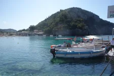 DSC05133.webp