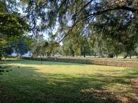 IMG_20250919_160314094_HDR.webp