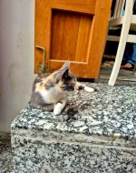 20250918_113415.webp