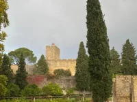 thumbnail_IMG_9434.webp