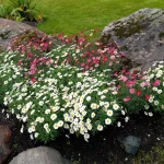 IMG_20250816_094345.webp
