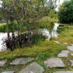 IMG_20250816_095608.webp