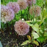 IMG_20250816_100128.webp
