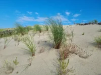 20250909_110225.webp