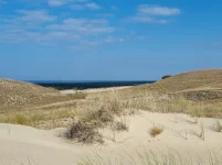 20250909_110324.webp