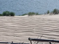 20250909_111052.webp