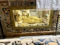 Palermo4.webp