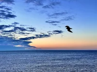 IMG_E9122.webp