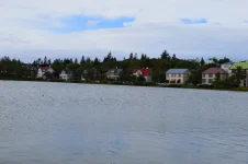 DSC_0310.webp