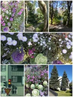 IMG_20251023_134603.webp