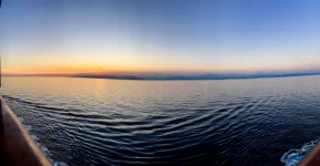 IMG_2-(60).webp