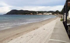 l.mare.webp l.mare.webp