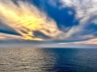 IMG_E8879.webp IMG_E8879.webp