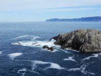 DSCN9041.webp DSCN9041.webp