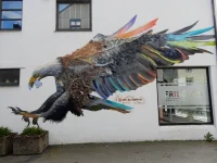 DSCN9050.webp DSCN9050.webp