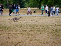 1762450344223.webp 1762450344223.webp