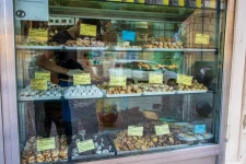 pacifica (423) copia.webp