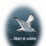 laridae