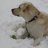cane oslo